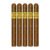 PACK OF 5