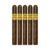PACK OF 5