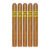 PACK OF 5