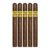 PACK OF 5