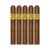 PACK OF 5