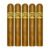 PACK OF 5