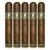PACK OF 5