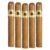 PACK OF 5