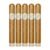 PACK OF 5