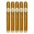 PACK OF 5