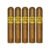 PACK OF 5