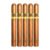 PACK OF 5