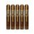 PACK OF 5
