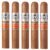 PACK OF 5