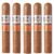 PACK OF 5
