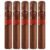 PACK OF 5
