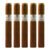PACK OF 5