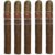 PACK OF 5