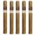 PACK OF 5