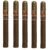 PACK OF 5