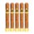 PACK OF 5
