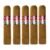 PACK OF 5