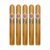 PACK OF 5