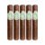 PACK OF 5