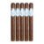 PACK OF 5