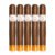 PACK OF 5