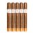 PACK OF 5