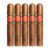 PACK OF 5