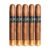 PACK OF 5