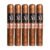 PACK OF 5