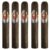 PACK OF 5