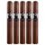 PACK OF 5