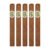 PACK OF 5