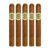 PACK OF 5