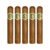 PACK OF 5