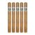 PACK OF 5