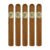 PACK OF 5