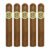 PACK OF 5
