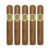 PACK OF 5