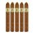 PACK OF 5