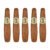 PACK OF 5