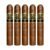 PACK OF 5
