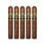PACK OF 5