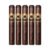 PACK OF 5