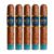 PACK OF 5