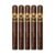PACK OF 5