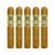 PACK OF 5
