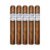 PACK OF 5