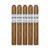 PACK OF 5