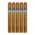 PACK OF 5